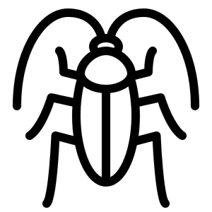 سمپاشی سوسک