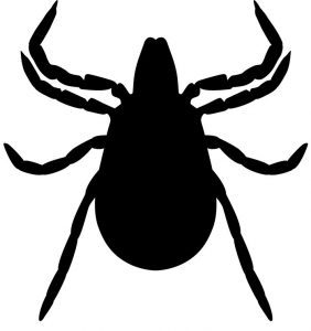 سمپاشی مایت