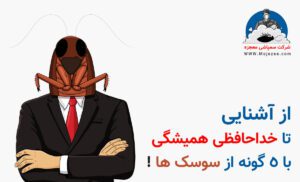 سوسک های تهران