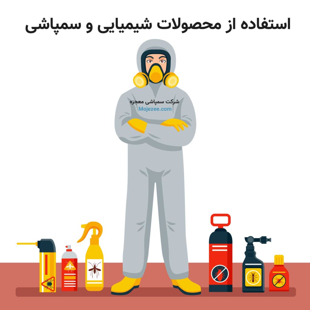 سمپاشی برای سوسک ریز