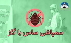 سمپاشی ساس با گاز