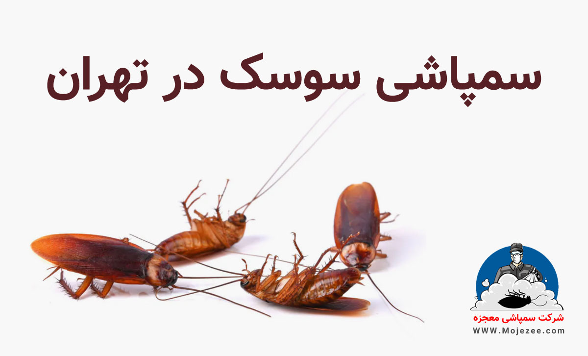 سمپاشی سوسک در تهران