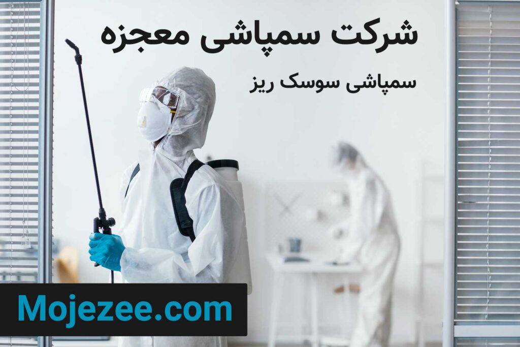 سمپاشی سوسک ریز توسط شرکت سمپاشی در تهران