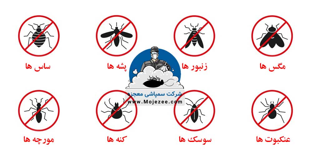 خدمات سمپاشی حشرات