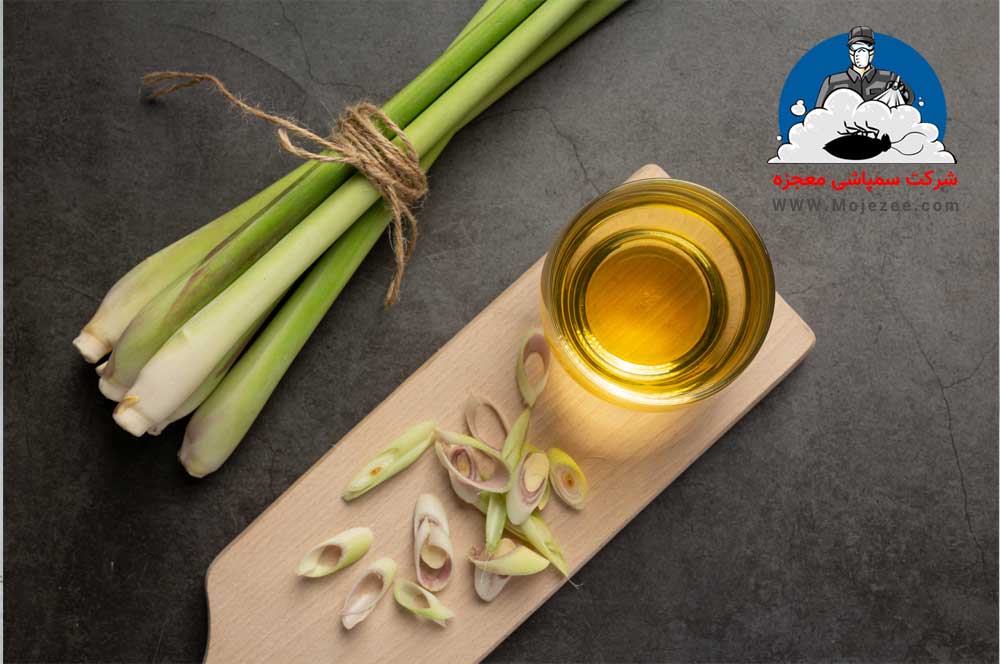 دافع طبیعی برای ساس