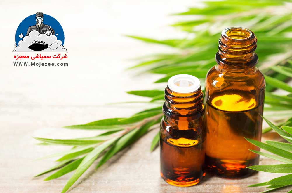 روغن طبیعی ضد ساس