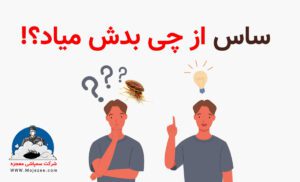 ساس از چی بدش میاد