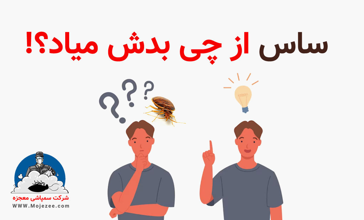 ساس از چی بدش میاد