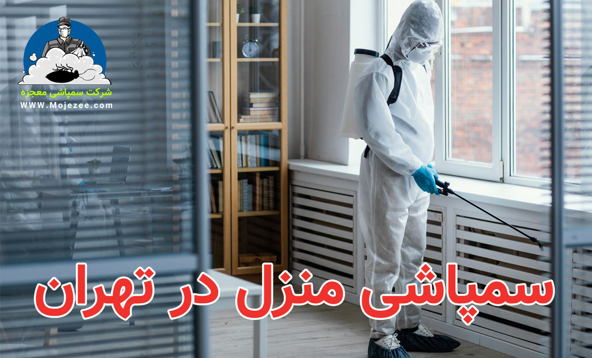 سمپاشی منزل در تهران