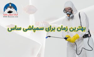بهترین زمان برای سمپاشی ساس