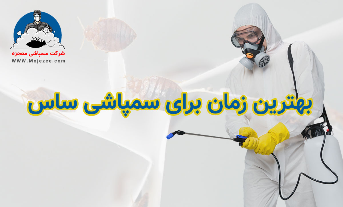 بهترین زمان برای سمپاشی ساس