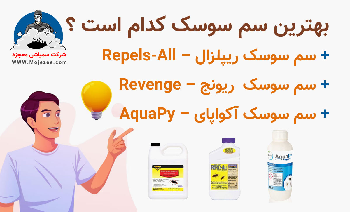 بهترین سم سوسک