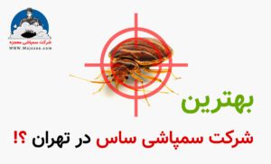 شرکت سمپاشی ساس در تهران