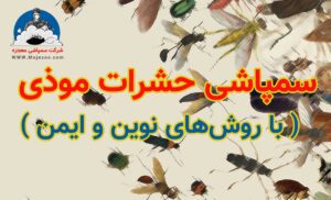 سمپاشی حشرات موذی