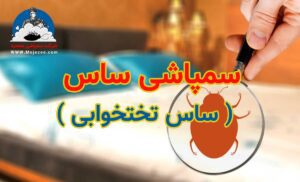سمپاشی ساس تختخوابی
