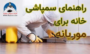 سمپاشی خانه برای موریانه
