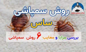 روش سمپاشی ساس