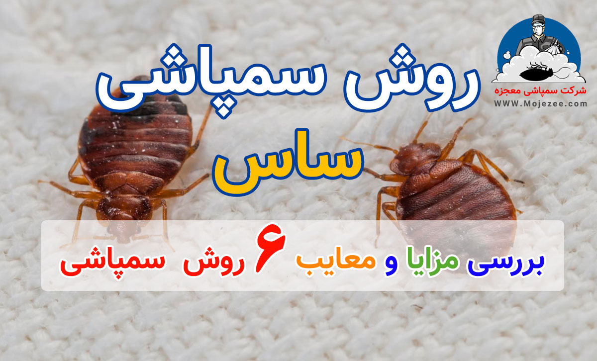 روش سمپاشی ساس