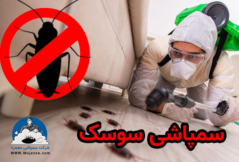 سمپاشی سوسک 25 سمپاشی سوسک