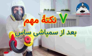 بعد از سمپاشی ساس