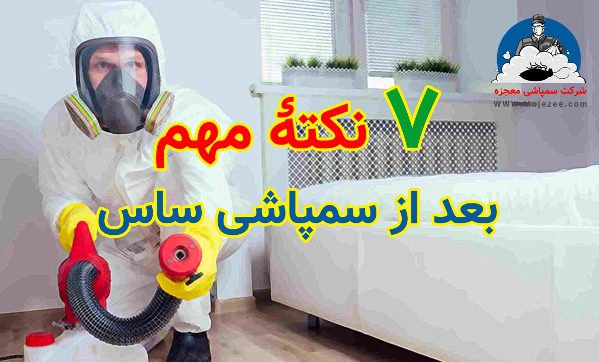 بعد از سمپاشی ساس