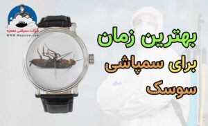 بهترین زمان برای سمپاشی سوسک