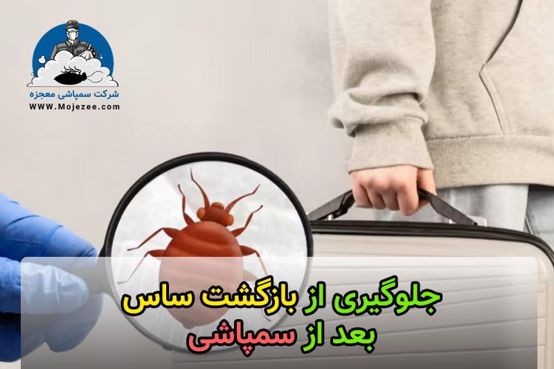 جلوگیری از بازگشت ساس 