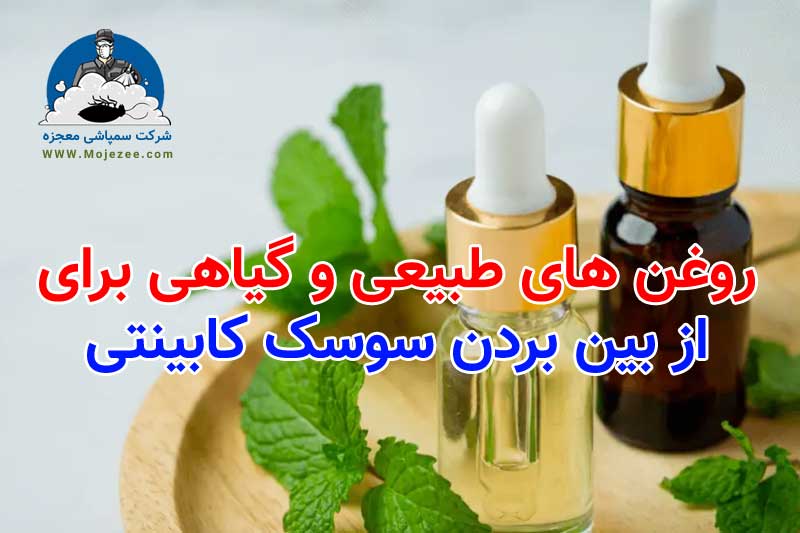 روغن گیاهی برای از بین بردن سوسک کابینتی