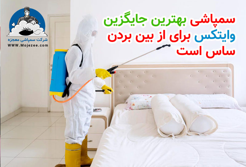 سمپاشی بهترین جایگزین وایتکس برای از بین بردن ساس