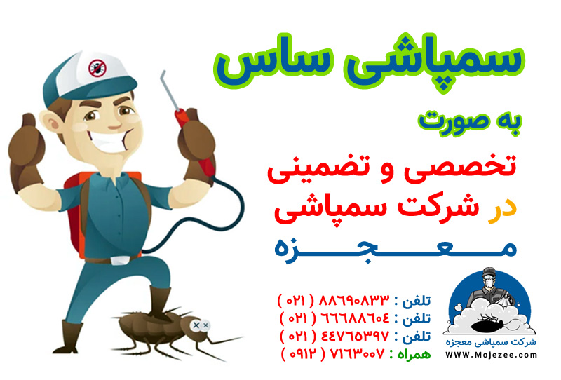 سمپاشی ساس