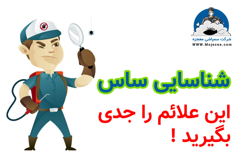 راهنمای شناسایی ساس 