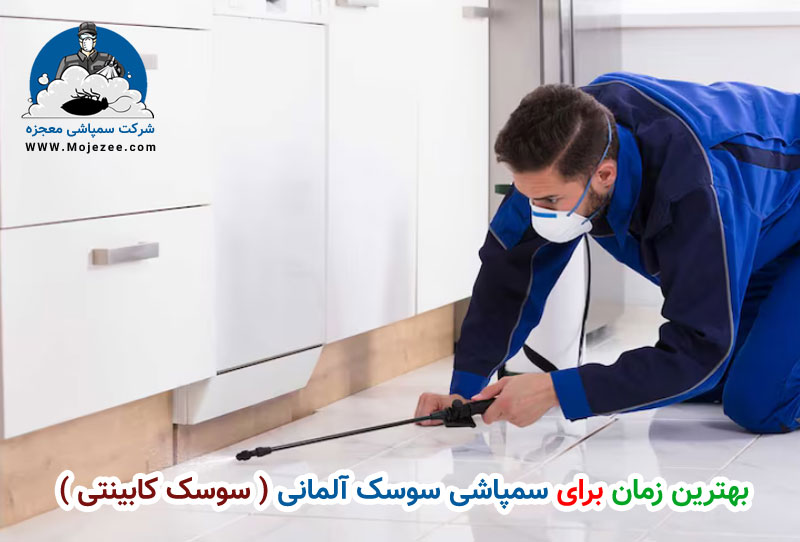 بهترین زمان برای سمپاشی سوسک آلمانی