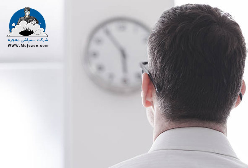 بهترین وقت برای سمپاشی سوسک