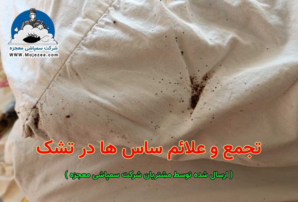 عکس علائم ساس در تشک