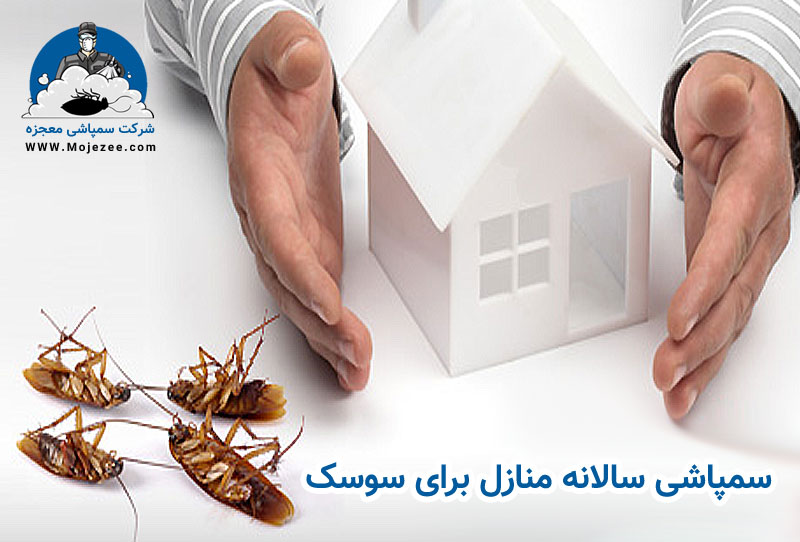 سمپاشی سالانه منازل برای سوسک 
