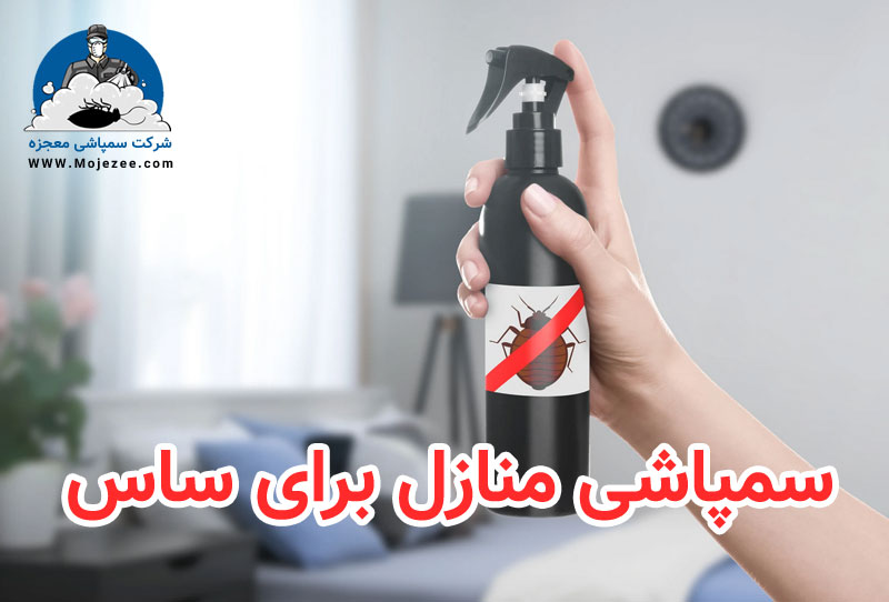 سمپاشی منازل برای ساس
