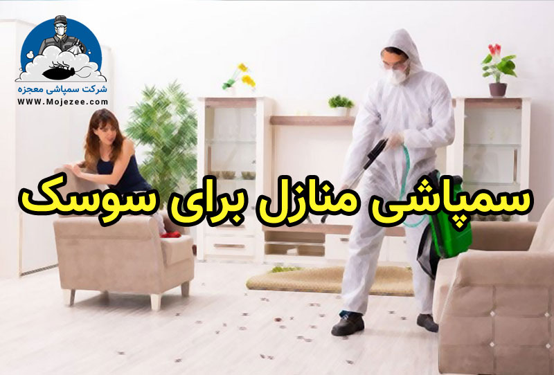 سمپاشی منازل برای سوسک
