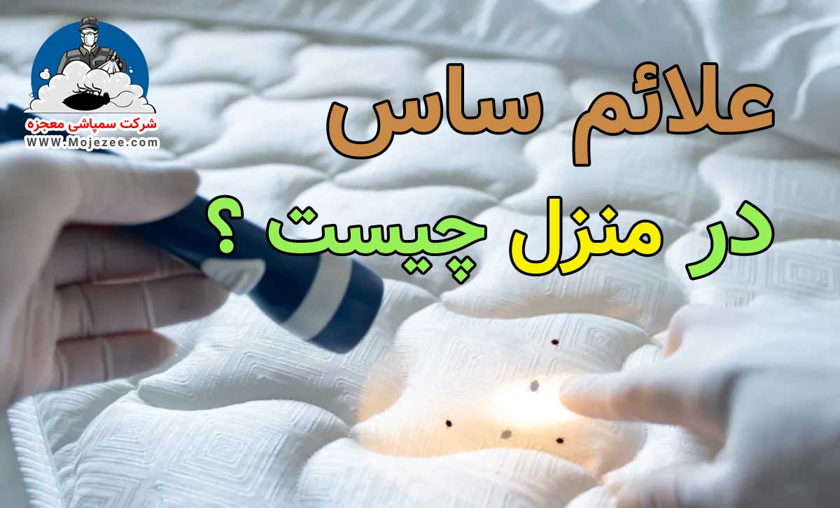 علائم ساس در منزل