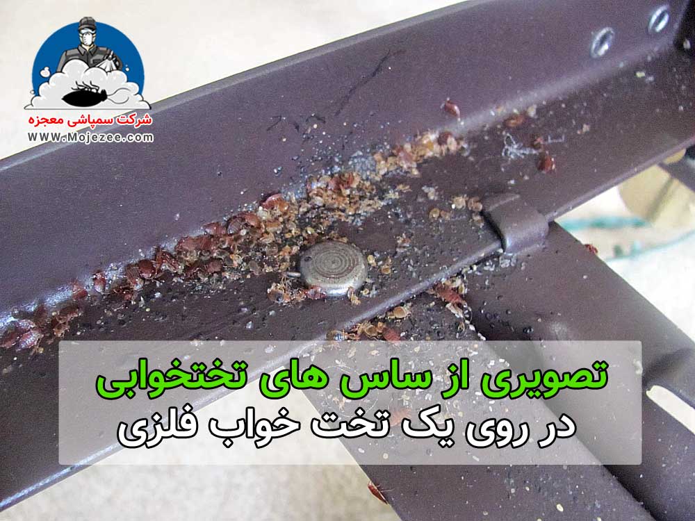 ساس تختخوابی در یک تخت فلزی