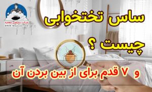 ساس‌ تختوابی چیست