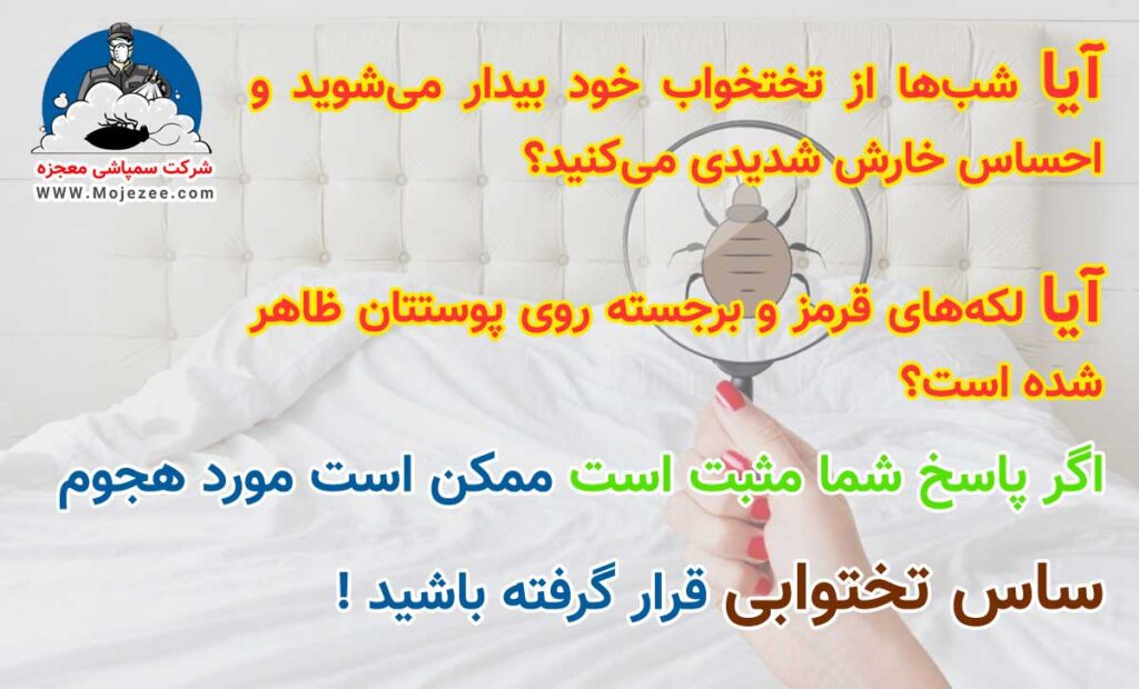 علائم گزش و وجود ساس تختخوابی در منزل