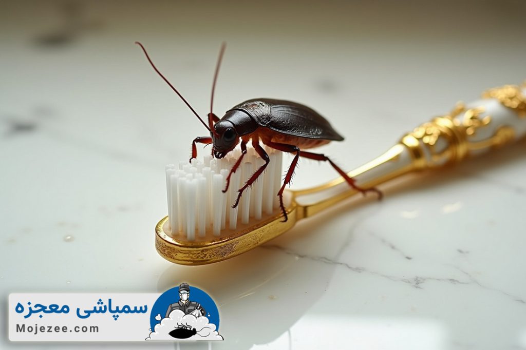 خطرات سوسک برای سلامتی انسان