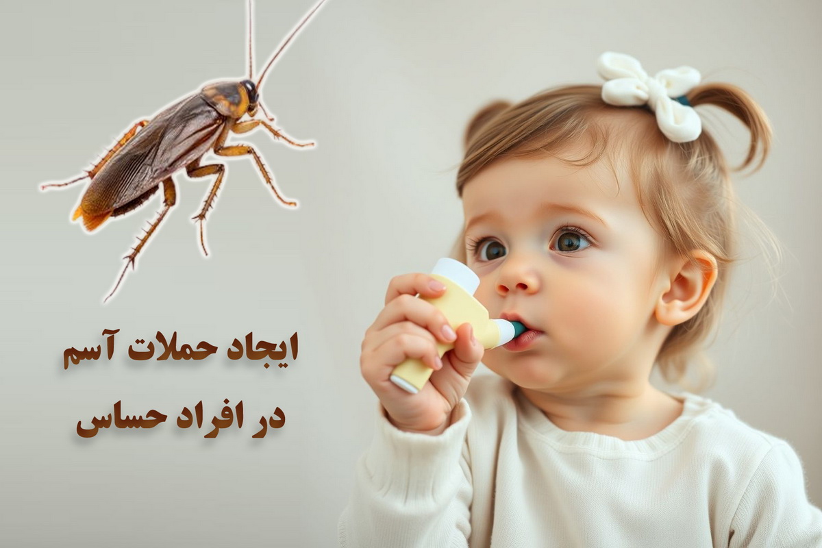 سوسک