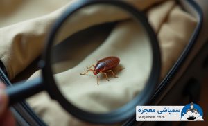 چگونه از انتقال ساس جلوگیری کنیم
