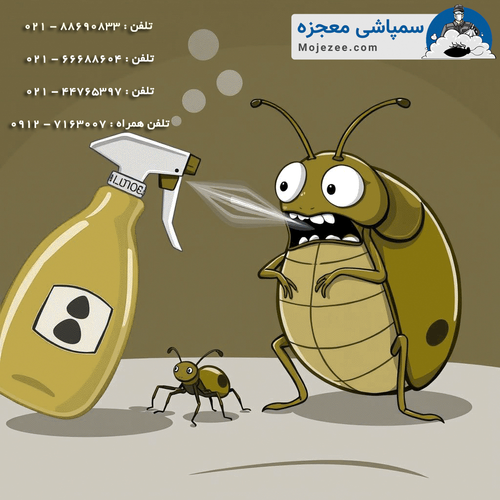تخم ساس 2