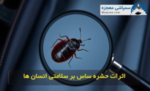 خطرات ساس برای سلامتی