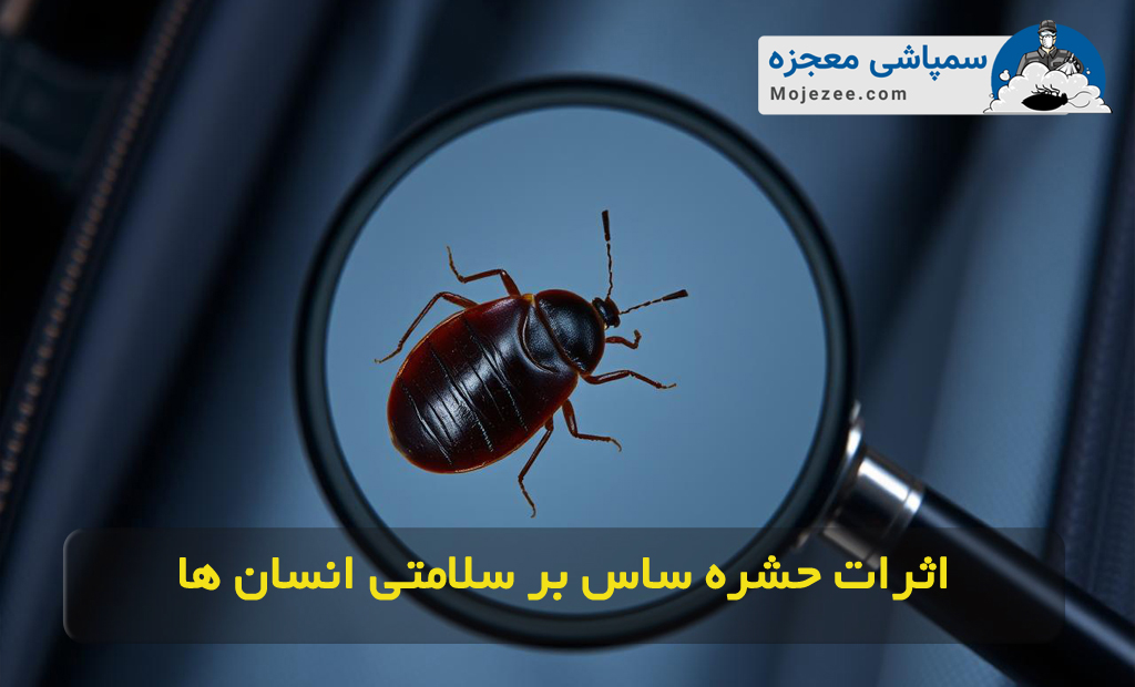 خطرات ساس برای سلامتی