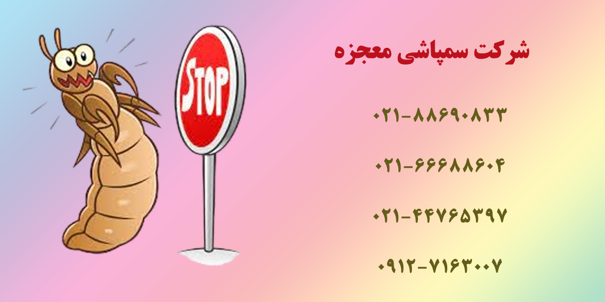از بین بردن شپش 2