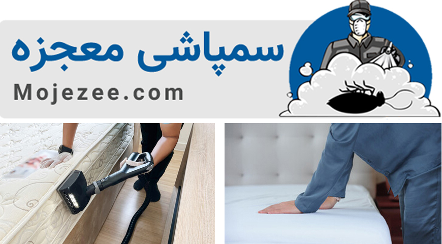 آفتی به نام مایت در خانه ها2