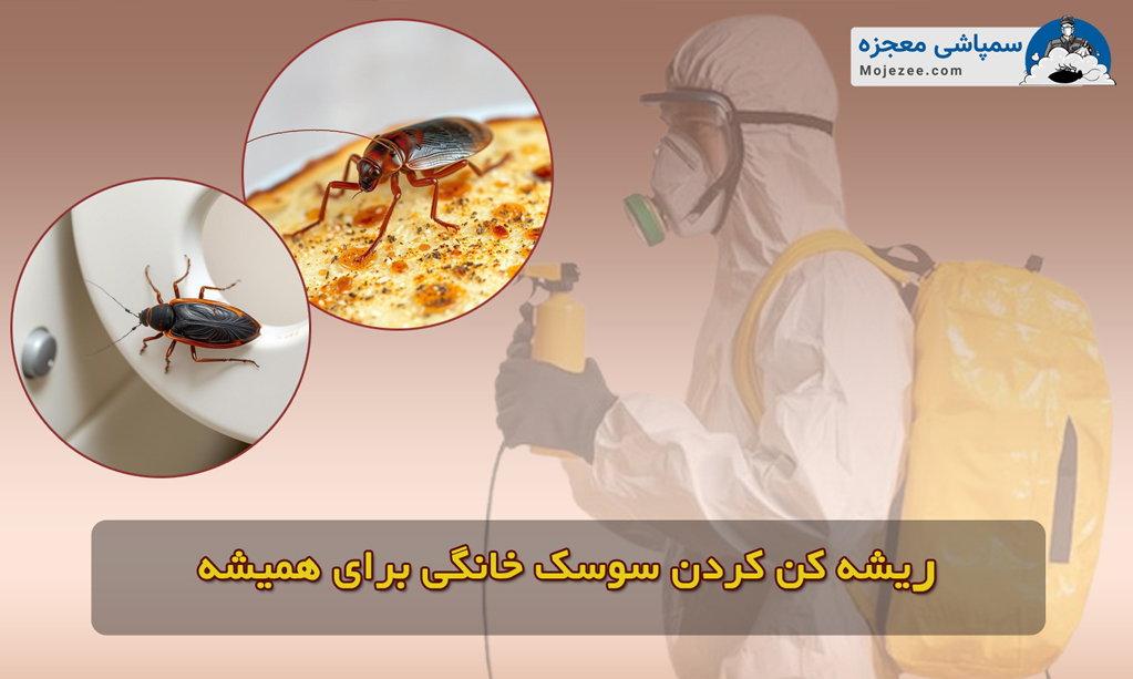 ریشه کن کردن سوسک خانگی